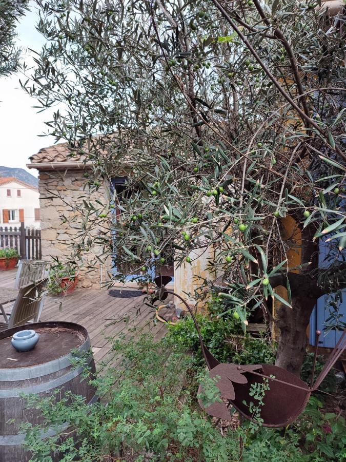 Domaine Les Cascades Bed & Breakfast Ribaute Dış mekan fotoğraf