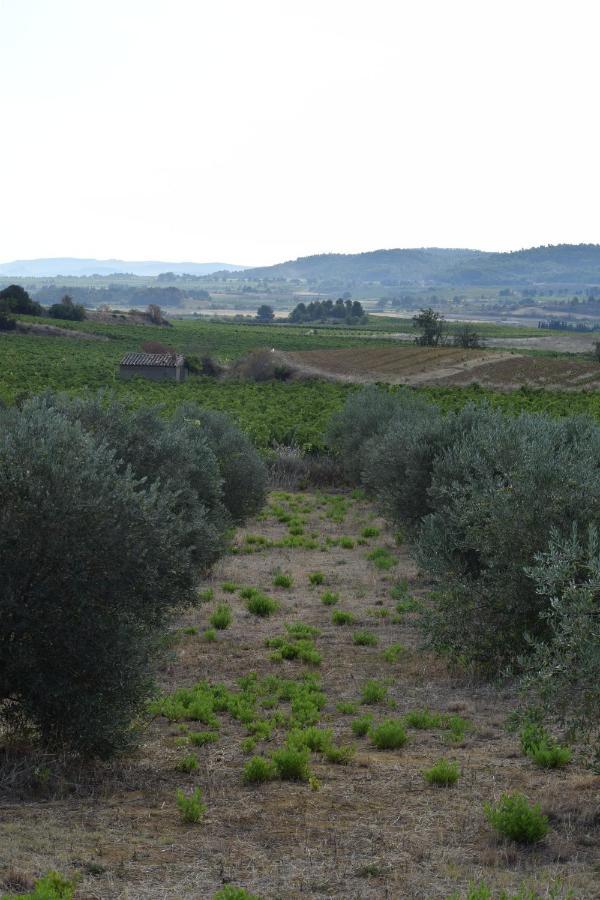 Domaine Les Cascades Bed & Breakfast Ribaute Dış mekan fotoğraf