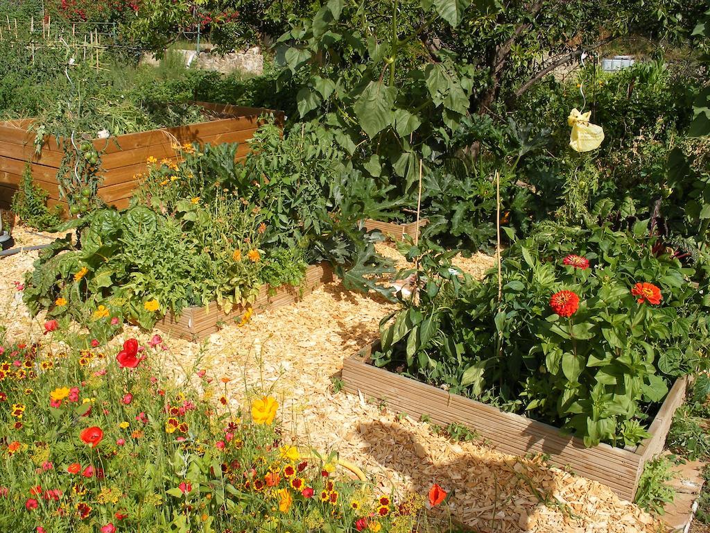 Domaine Les Cascades Bed & Breakfast Ribaute Dış mekan fotoğraf